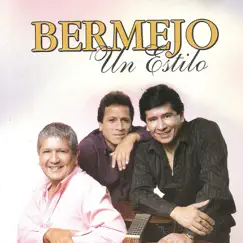 Un Estilo by Bermejo album reviews, ratings, credits