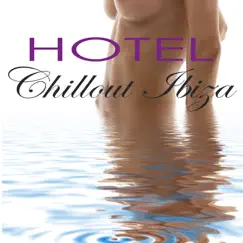 Hotel Chillout Ibiza 2014 - Chill Lounge Air Bar Sueno del Mar Collection Compiled by Astro Moon DJ by Lounge Safari Buddha Chillout do Mar Café album reviews, ratings, credits