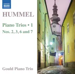 Piano Trio No. 2 in F Major, Op. 22: I. Allegro moderato Song Lyrics