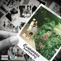 Evergreen by Dusty McFly album reviews, ratings, credits