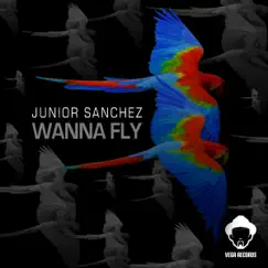 Wanna Fly (V5 - No Bull Horn) Song Lyrics