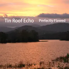 Perfectly Flawed by Tin Roof Echo album reviews, ratings, credits