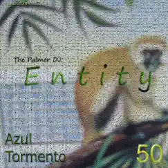 Entity - Single by The Palmer Dj album reviews, ratings, credits