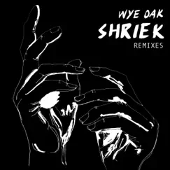 Shriek (DJ Daylight Remix) Song Lyrics