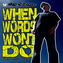 When Words Won't Do (feat. 2Mex) - Single by Mr. P Chill album reviews, ratings, credits
