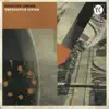 Transistor Sister album lyrics, reviews, download
