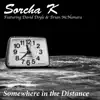 Somewhere in the Distance (feat. David Doyle) - Single album lyrics, reviews, download