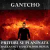 Prituri Se Planinata (Balkansky Dancefloor Remix) - Single album lyrics, reviews, download