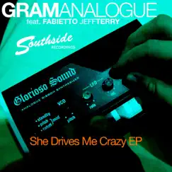 She Drives Me Crazy (feat. Fabietto Jeffterry) Song Lyrics