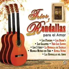 Amar Y Querer Song Lyrics