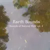 Sounds of Natural Flow Vol. 4 album lyrics, reviews, download