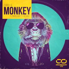 Monkey - Funkin Matt remix #ResirkulertLyd (feat. Funkin Matt) Song Lyrics