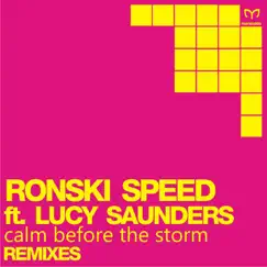 Calm Before the Storm (Solis & Sean Truby Remix) [feat. Lucy Saunders] Song Lyrics