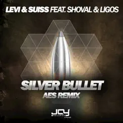 Silver Bullet (AES Remix) Song Lyrics