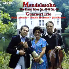 Piano Trio No. 1 in D Minor, Op. 49: II. Andante con moto tranquillo Song Lyrics