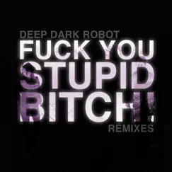 F**k You, Stupid Bitch (DJ Dstar Remix) Song Lyrics