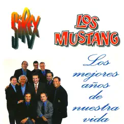 Los Mejores Años de Nuestra Vida - Single by Sírex & Los Mustang album reviews, ratings, credits