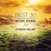 Best 30 Nature Sounds for Stress Relief: Healing Music for Your Body and Soul, Better Mental Health, Deep Relaxation album lyrics, reviews, download