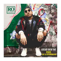 Already Knew That (Remix) [feat. BJ the Chicago Kid] - Single by Ro James album reviews, ratings, credits