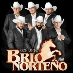 Adiós Amor - Single by Conjunto Brio Norteño album reviews, ratings, credits
