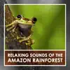 Relaxing Sounds of the Amazon Rainforest album lyrics, reviews, download