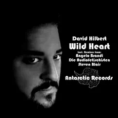 Wild Heart - EP by David Hilbert album reviews, ratings, credits