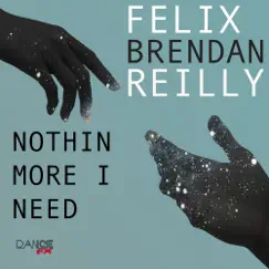 Nothin More I Need (feat. Brendan Reilly) [Felix After Party Remix] Song Lyrics