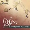Spa Moment of Pleasure: 30 Soothing Sounds of Nature for Beauty Treatments, Wellness Lounge, Massage & Sauna Background, Amazing Relaxing Music album lyrics, reviews, download