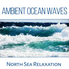Ambient Ocean Waves: North Sea Relaxation, Yoga Music & Meditation, Crushing Waves, Seagulls, Nature & Liquid Sounds to Calm Down by Calm Sea Ambient album reviews, ratings, credits