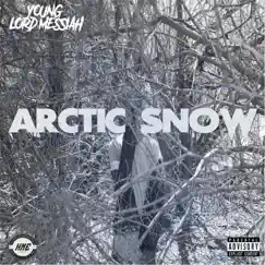Arctic Snow Song Lyrics