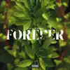 Forever (feat. Raiza Biza, Nash, Blaze the Emperor & Bianca Paulus) - Single album lyrics, reviews, download