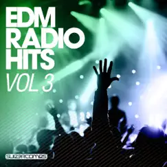 EDM Radio Hits, Vol. 3 by Various Artists album reviews, ratings, credits