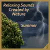 Relaxing Sounds Created by Nature 5 - Summer album lyrics, reviews, download
