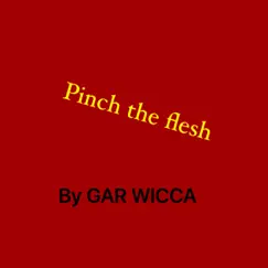 Pinch the Flesh Song Lyrics