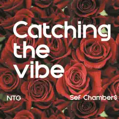 Catching the Vibe (feat. Sef Chamber$) Song Lyrics