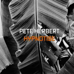 Hypnotize - EP by Pete Herbert album reviews, ratings, credits