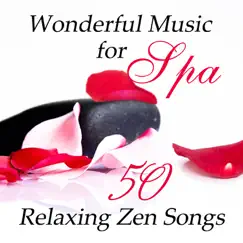 Wonderful Music for Spa: 50 Relaxing Zen Songs and Nature Sounds for Massage, Therapy & Healing Music by Beauty Spa Music Collection album reviews, ratings, credits