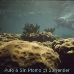 I Surrender - Single by Pufo & Sin Plomo album reviews, ratings, credits