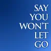 Say You Won't Let Go - Single album lyrics, reviews, download