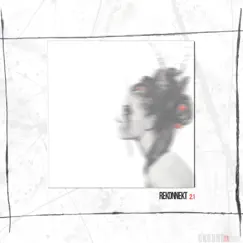 Somnambulist (D. Diggler Remix) Song Lyrics