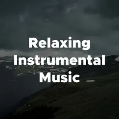 Relaxing Instrumental Music - Music For Relaxation and Stress Relief by Mental Detox Series, Kurt Oasis & Vitamin Therapy album reviews, ratings, credits