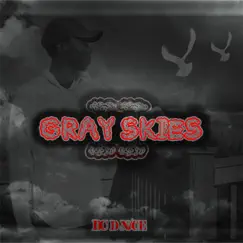 Gray Skies 2 by DC D-Nice album reviews, ratings, credits