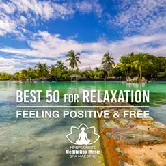 Best 50 for Relaxation: Feeling Positive & Free – Relaxing Spa Music, Tranquil Paradise Reflection, Yoga Meditation, Asian Music, Exotic Nature Sounds for Good Health & Well Being by Mindfulness Meditation Music Spa Maestro album reviews, ratings, credits