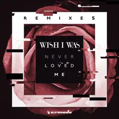 Never Loved Me (Remixes) - EP by Wish I Was album reviews, ratings, credits