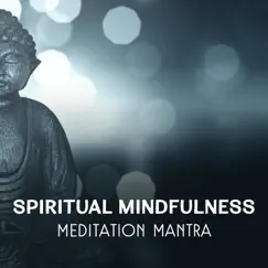 Spiritual Mindfulness – Meditation Mantra, Inner Healing, Mind Relaxation, Self Confidence & Esteem, Tranquil Music for Blissful Contemplation by Meditative Mantra Zone album reviews, ratings, credits