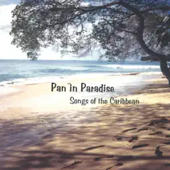 Pan in Paradise by Dano's Island Sounds album reviews, ratings, credits