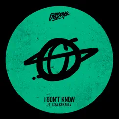 I Don't Know (feat. Lisa Kekaula) Song Lyrics