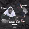 Future Shit (Remix) - Single album lyrics, reviews, download