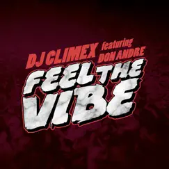 Feel the Vibe (Intro) [Outro] (feat. Don Andre) Song Lyrics