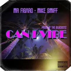 Can I Vibe (feat. Mike Smiff) Song Lyrics